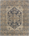 Reign REG-2309 10' x 14' Rug