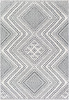 Ariana RIA-2302 2' x 3' Rug