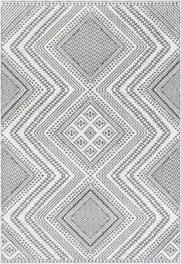 Ariana RIA-2302 2' x 3' Rug