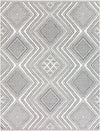 Ariana RIA-2302 2' x 3' Rug