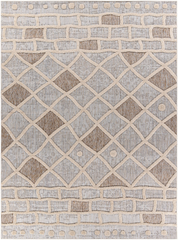 Toledo TLD-2300 5'3" x 7' Rug