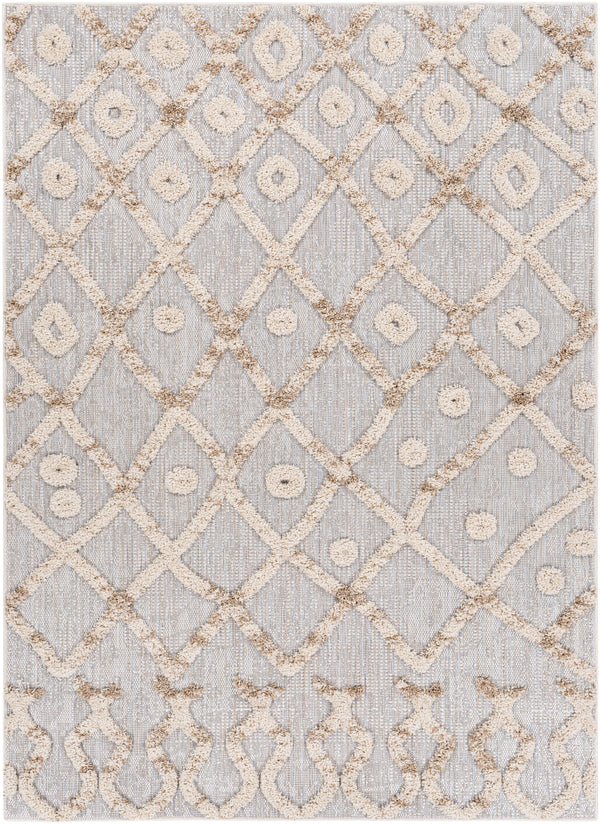 Toledo TLD-2301 5'3" x 7' Rug