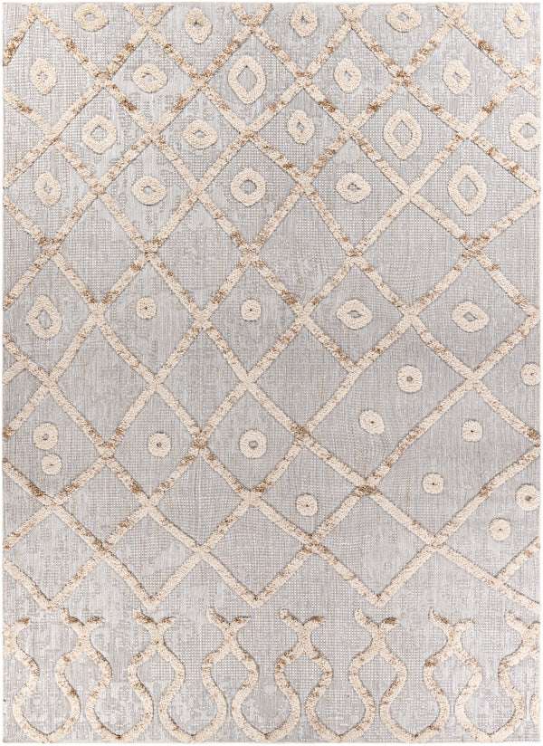 Toledo TLD-2301 5'3" x 7' Rug