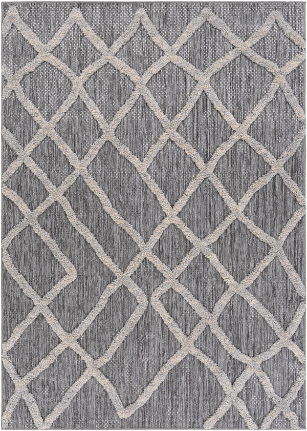 Toledo TLD-2302 5'3" x 7' Rug