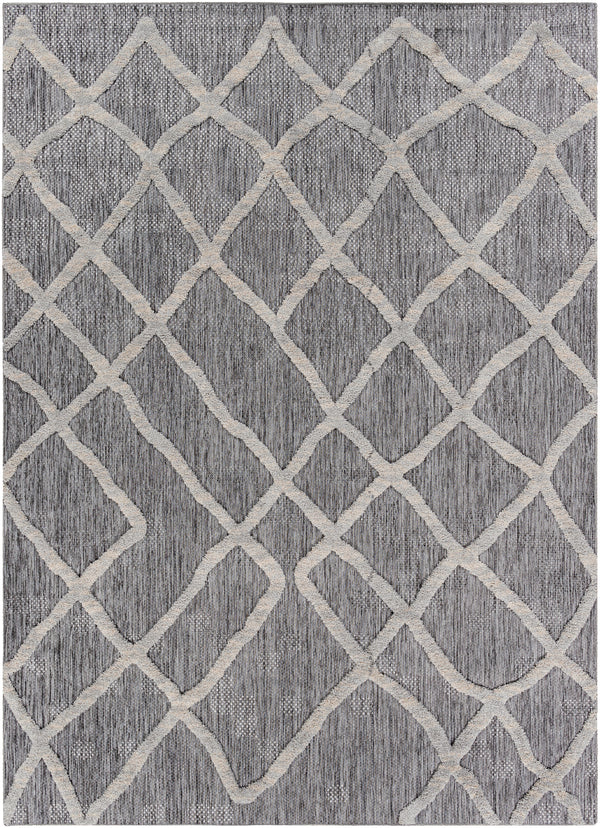 Toledo TLD-2302 5'3" x 7' Rug