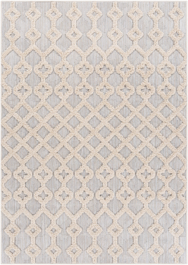 Toledo TLD-2303 5'3" x 7' Rug