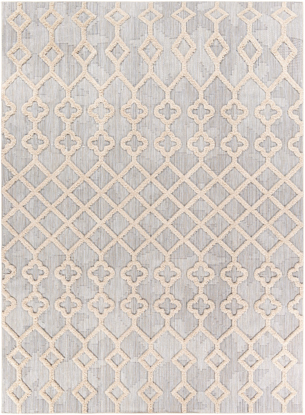 Toledo TLD-2303 5'3" x 7' Rug