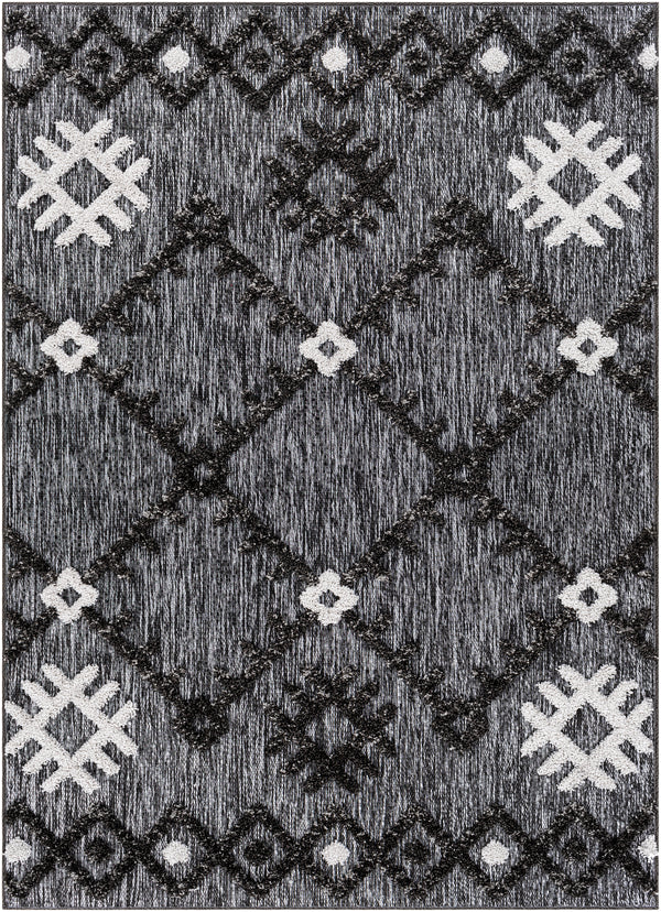 Toledo TLD-2304 5'3" x 7' Rug