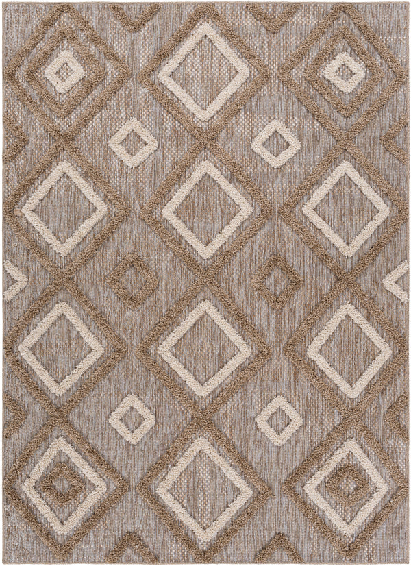 Toledo TLD-2305 5'3" x 7' Rug