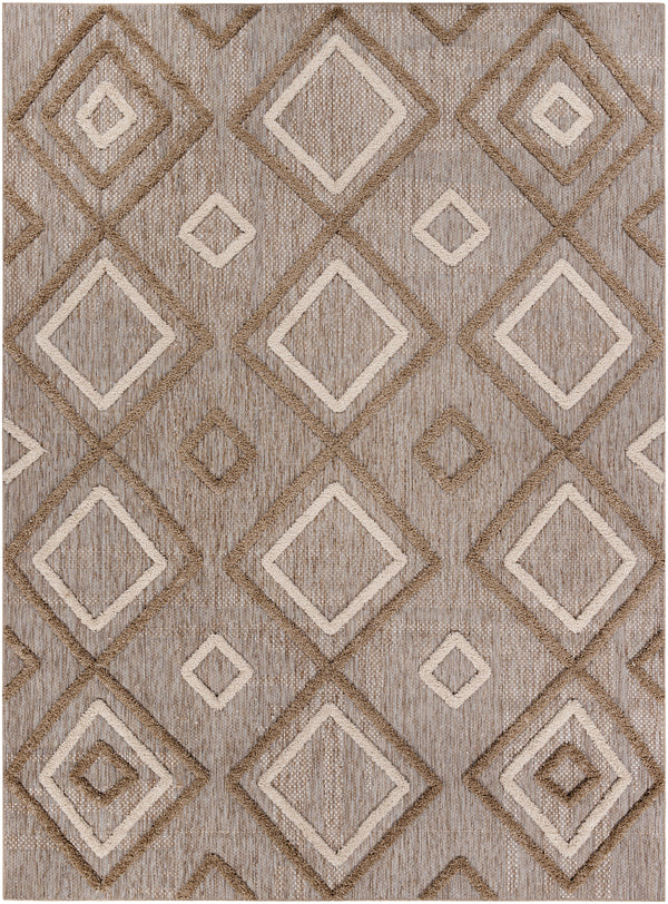 Toledo TLD-2305 5'3" x 7' Rug