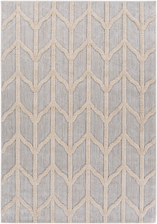 Toledo TLD-2306 5'3" x 7' Rug