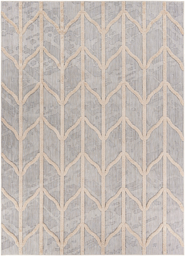 Toledo TLD-2306 5'3" x 7' Rug